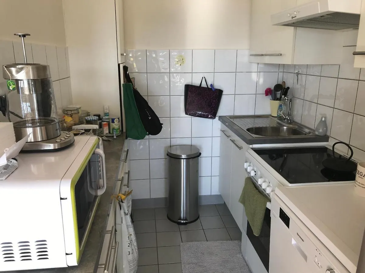 Cozy Studio Apartment Geneva 0*,