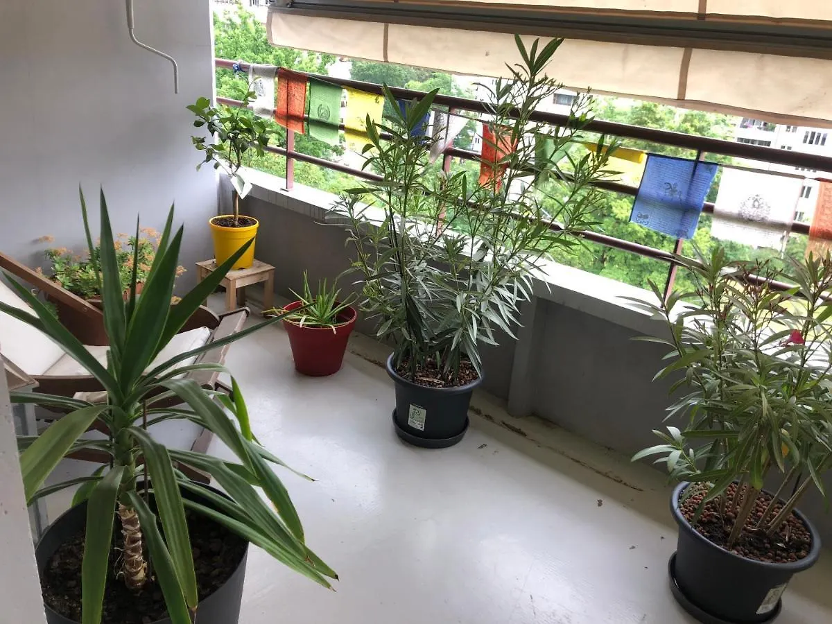 Cozy Studio Apartment Geneva 0*,  Switzerland